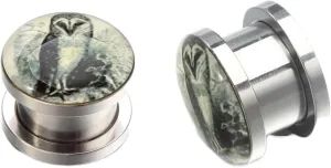 2Pcs Plug Gauges, Unique Ear Tunnels Epoxy with Owl Pattern Stainless Steel Ear Gauges for Women