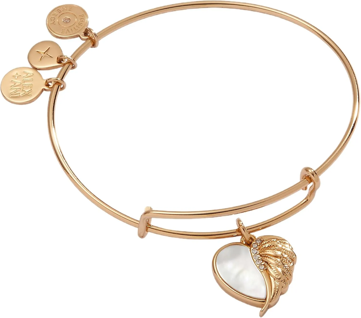 Alex and Ani Wings of Protection Charm Bangle