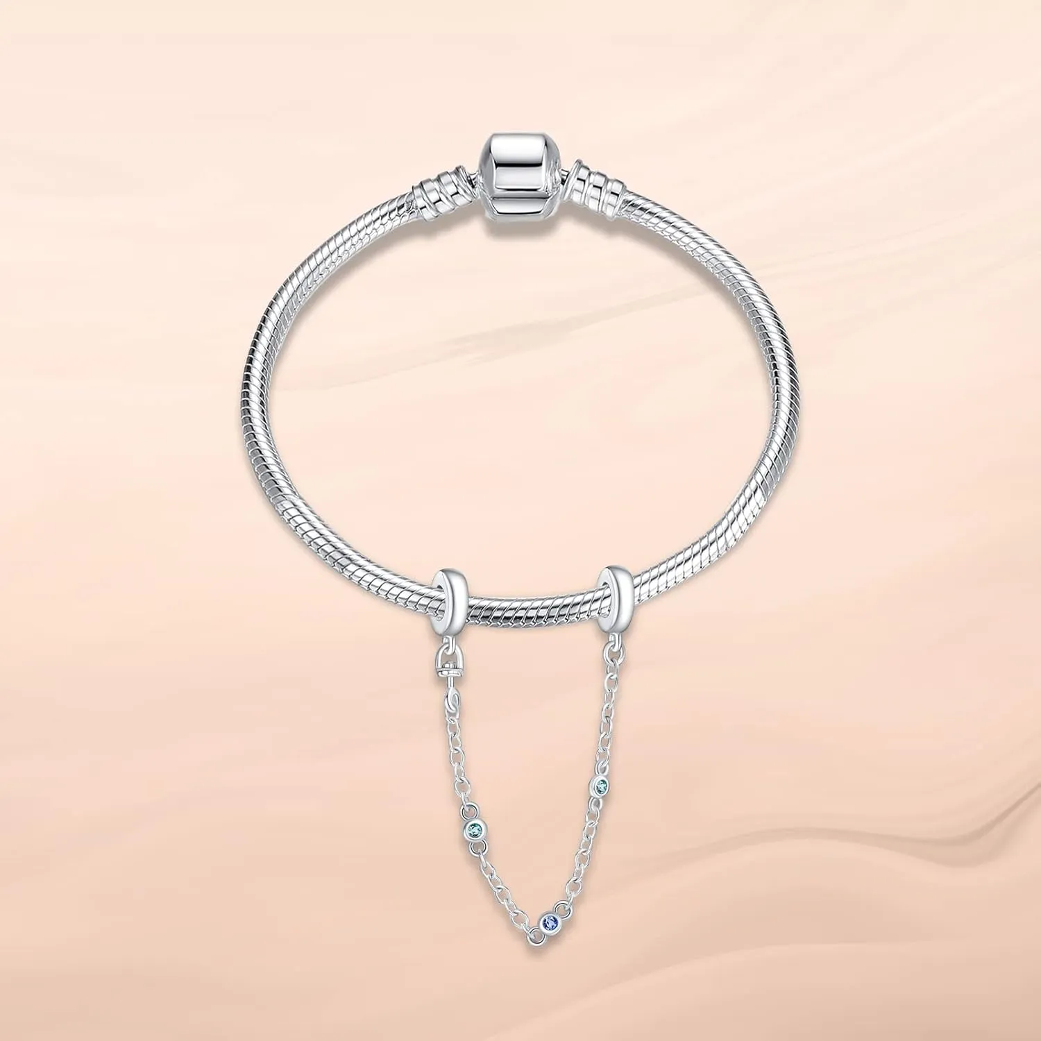 Annmors 925 Sterling Silver Charms fit Bracelets Necklaces Ocean Animal Beads with 5A Cubic Zirconia Christmas Mother's Day Gift Charms for Women