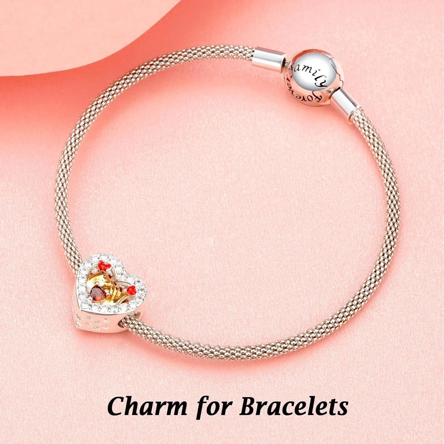 Annmors Jewelry Family Charms for Woman-925 Sterling Silver Dangle Pendant Bead with Cubic Zirconia,Jewelry Beads DIY Gifts for Women Bracelet & Necklace