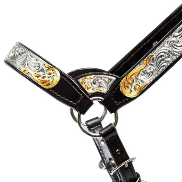 Billy Royal® Gold Standard Fitted Show Halter