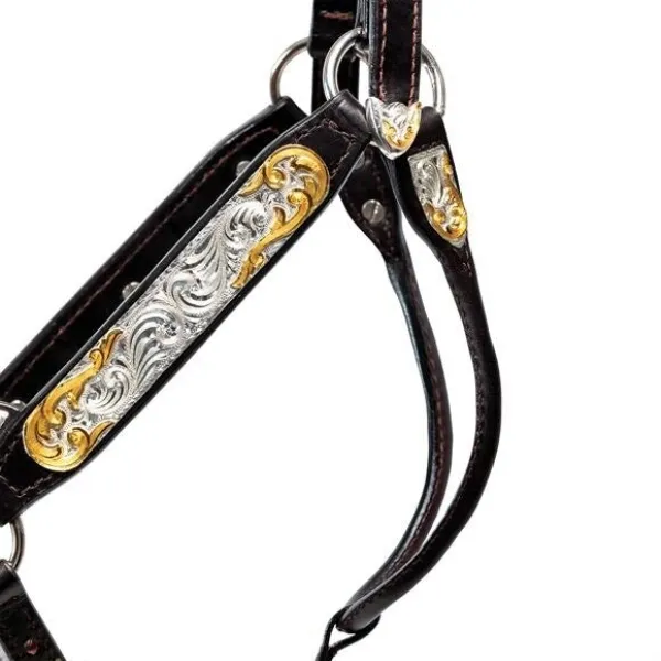Billy Royal® Gold Standard Fitted Show Halter