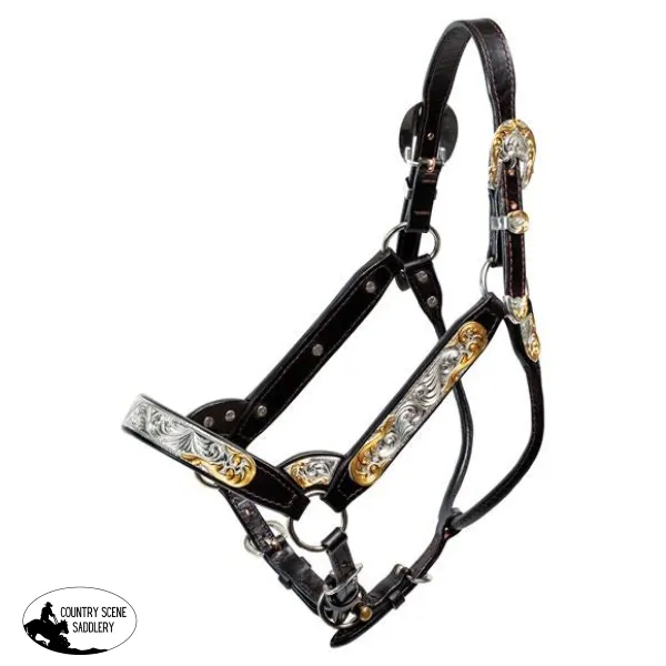 Billy Royal® Gold Standard Fitted Show Halter