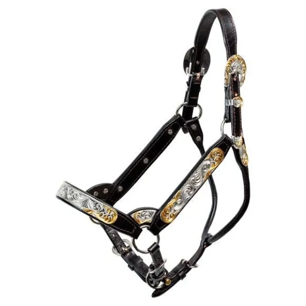 Billy Royal® Gold Standard Fitted Show Halter