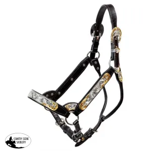 Billy Royal® Gold Standard Fitted Show Halter