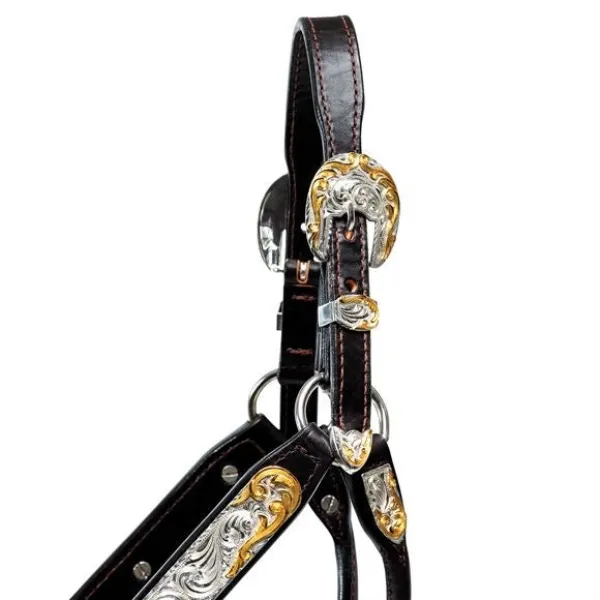 Billy Royal® Gold Standard Fitted Show Halter