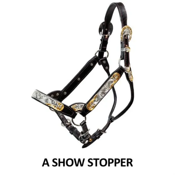 Billy Royal® Gold Standard Fitted Show Halter