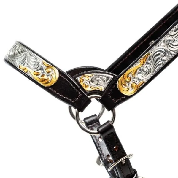 Billy Royal® Gold Standard Fitted Show Halter