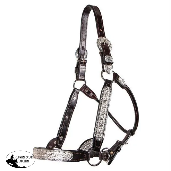 Billy Royal® Sydney Silver Show Halter