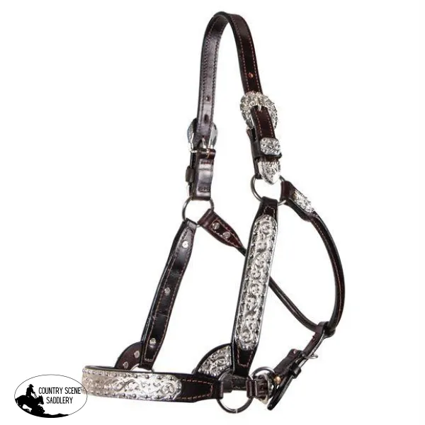 Billy Royal® Sydney Silver Show Halter