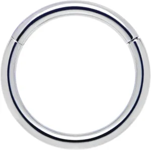 Body Candy Segment Hoop Nose Rings 16 Gauge 316l Surgical Steel Lip Ring Cartilage