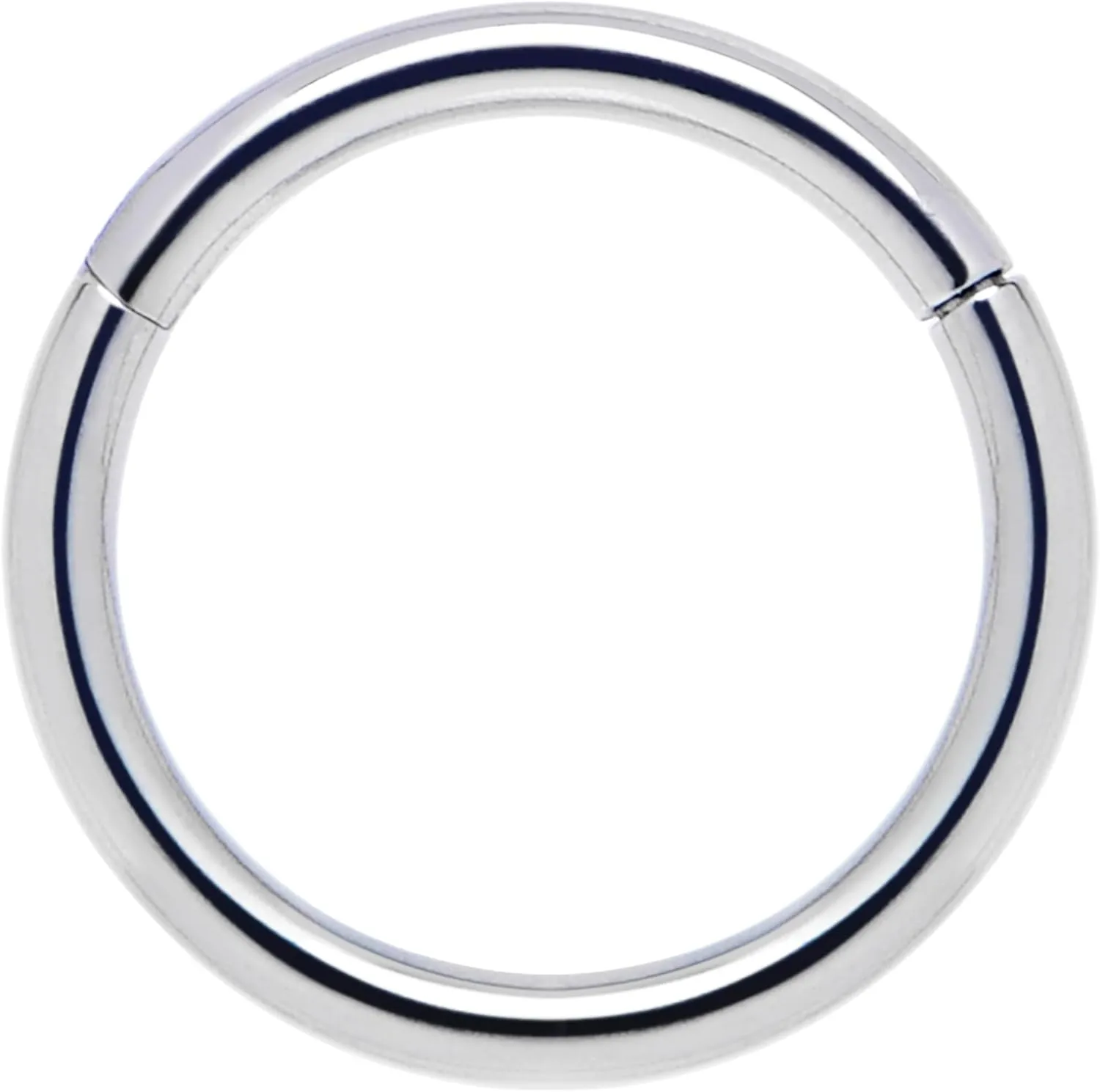 Body Candy Segment Hoop Nose Rings 16 Gauge 316l Surgical Steel Lip Ring Cartilage