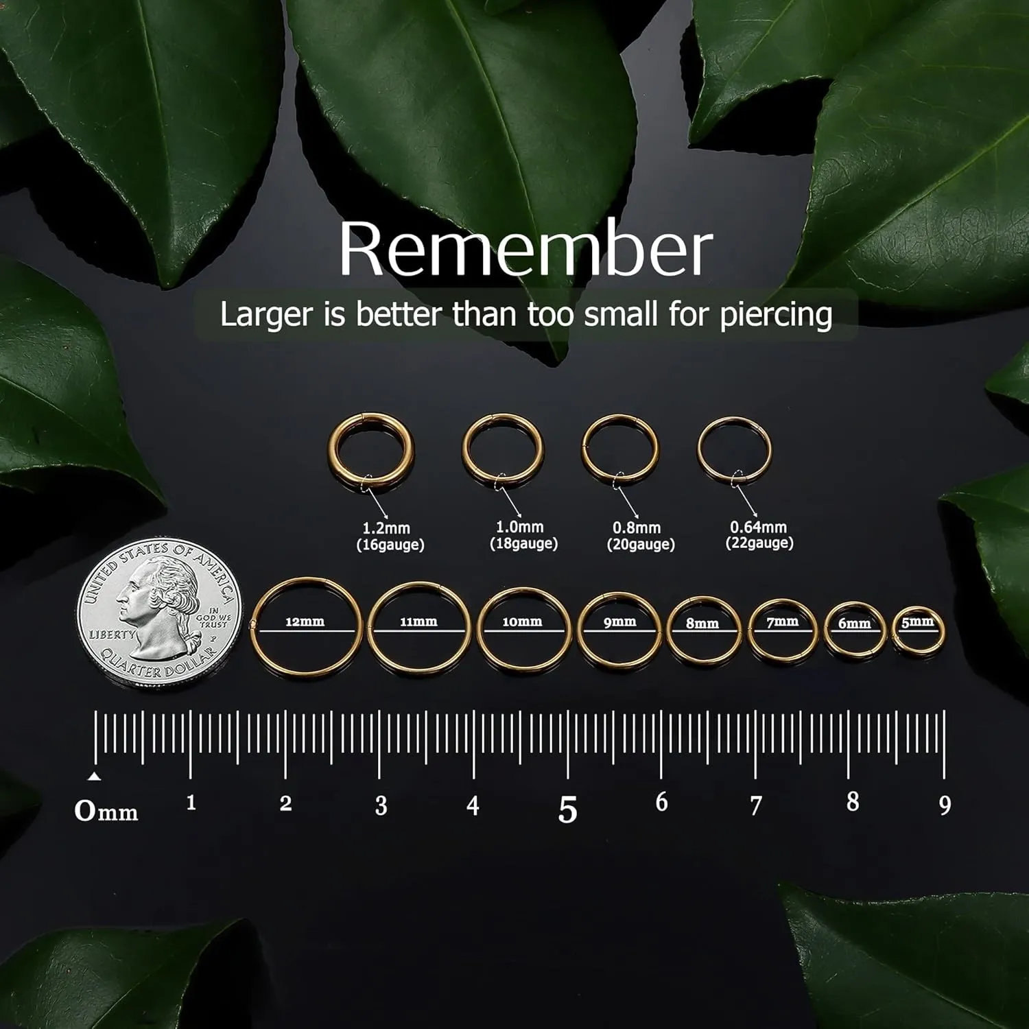 BodyBonita Hinged Nose Rings Hoops - 316L Surgical Steel Seamless Nose Piercing Jewelry Septum Clicker Lip Rings Cartilage Helix Daith Conch Tragus Rook Gold/Silver/Black/Rose Gold/Blue/Rainbow