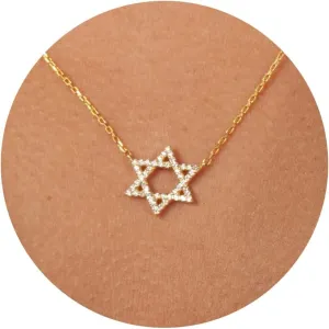 Gold Necklace for Women, Dainty 14k Gold Plated Necklace Hamsa Star of David Cross Evil Eye Italian Horn Shell Elephant Turtle Dragonfly Butterfly Necklace for Women
