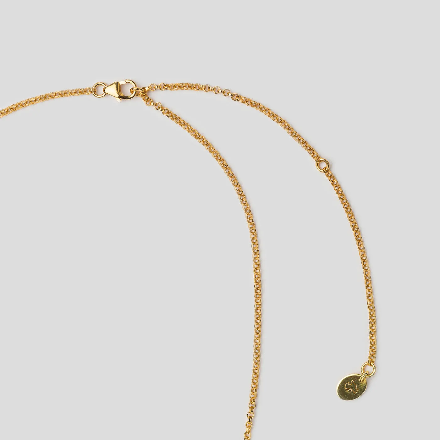 Precious Elephant Necklace - Gold