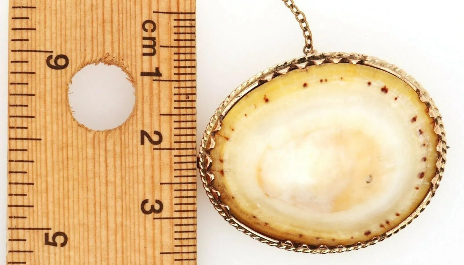 Vintage Shell & Rolled Gold Brooch Unique Fashion Statement Jewellery
