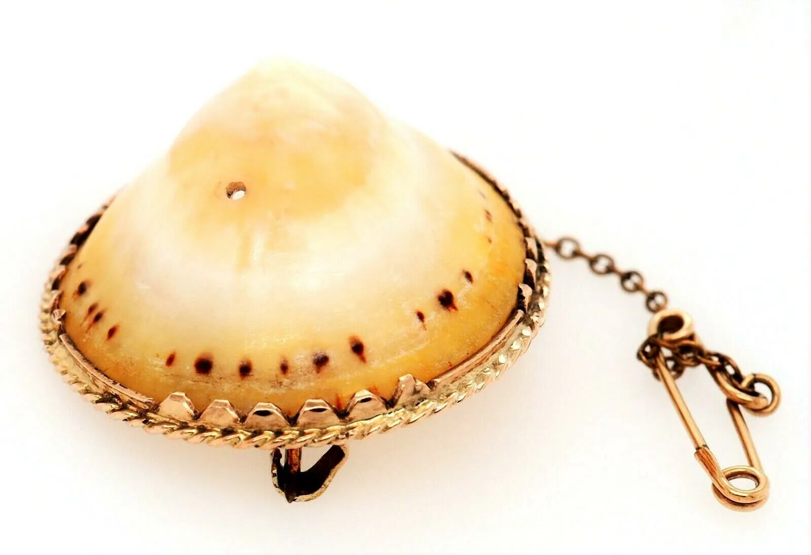 Vintage Shell & Rolled Gold Brooch Unique Fashion Statement Jewellery