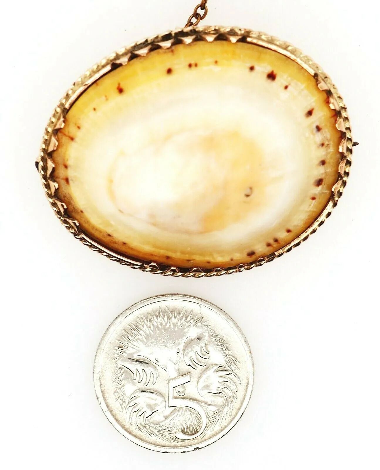 Vintage Shell & Rolled Gold Brooch Unique Fashion Statement Jewellery