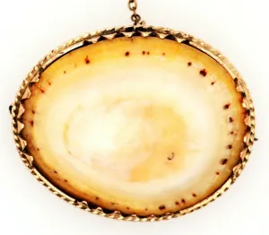 Vintage Shell & Rolled Gold Brooch Unique Fashion Statement Jewellery