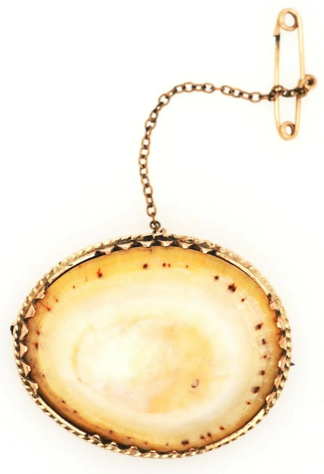 Vintage Shell & Rolled Gold Brooch Unique Fashion Statement Jewellery