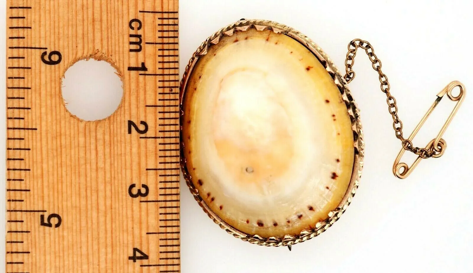 Vintage Shell & Rolled Gold Brooch Unique Fashion Statement Jewellery