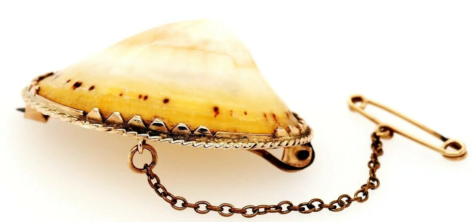 Vintage Shell & Rolled Gold Brooch Unique Fashion Statement Jewellery