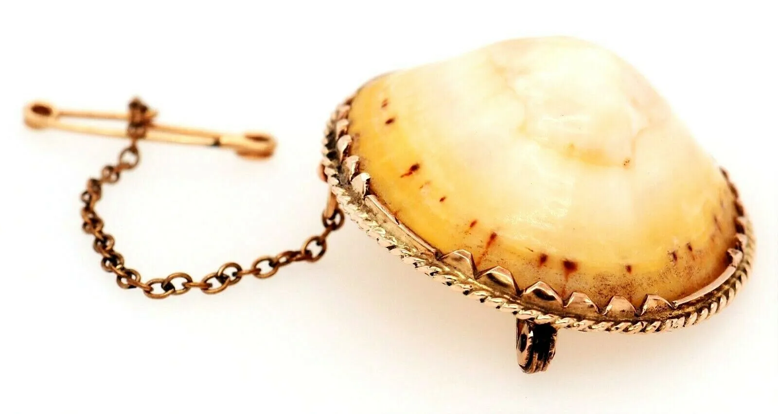 Vintage Shell & Rolled Gold Brooch Unique Fashion Statement Jewellery