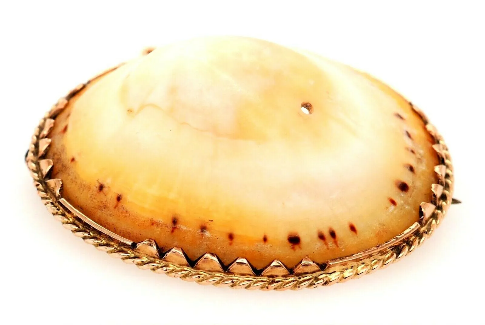 Vintage Shell & Rolled Gold Brooch Unique Fashion Statement Jewellery